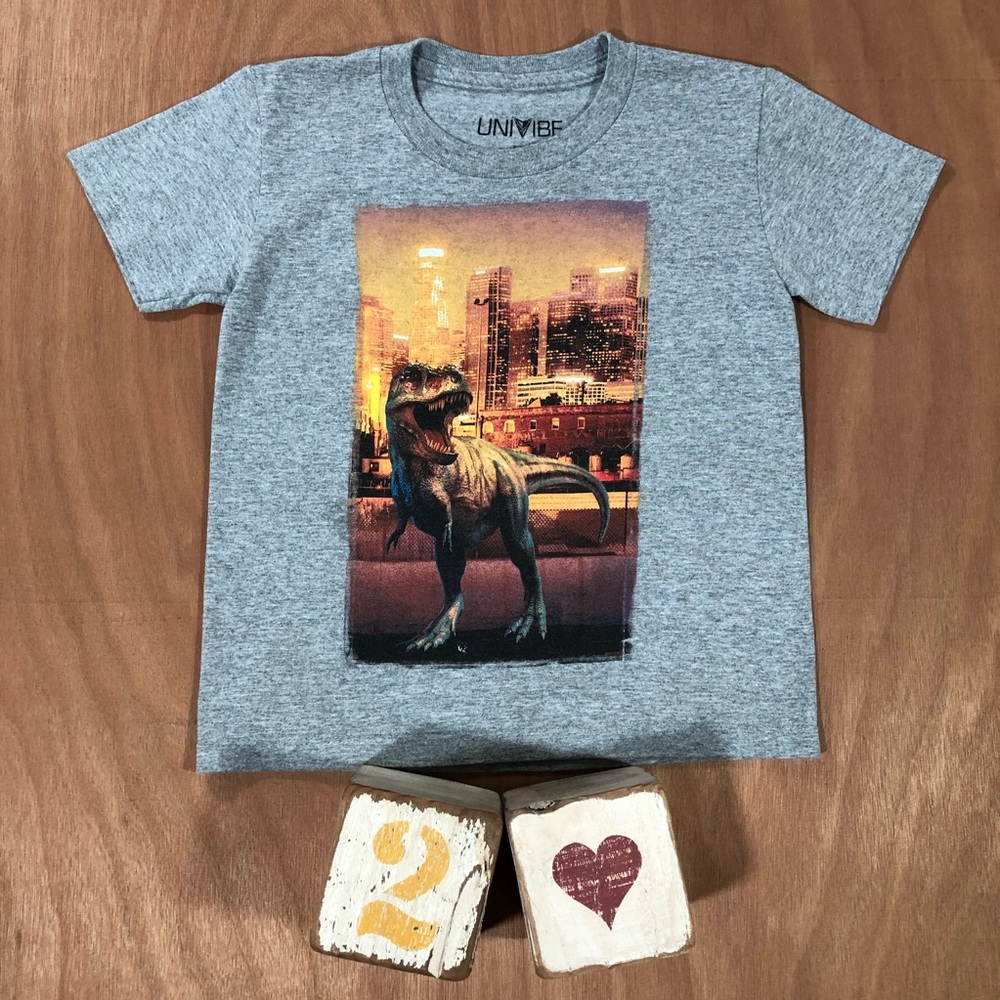 Boys Kids Dinosaur Graphic Grey Tee Shirt 5/6